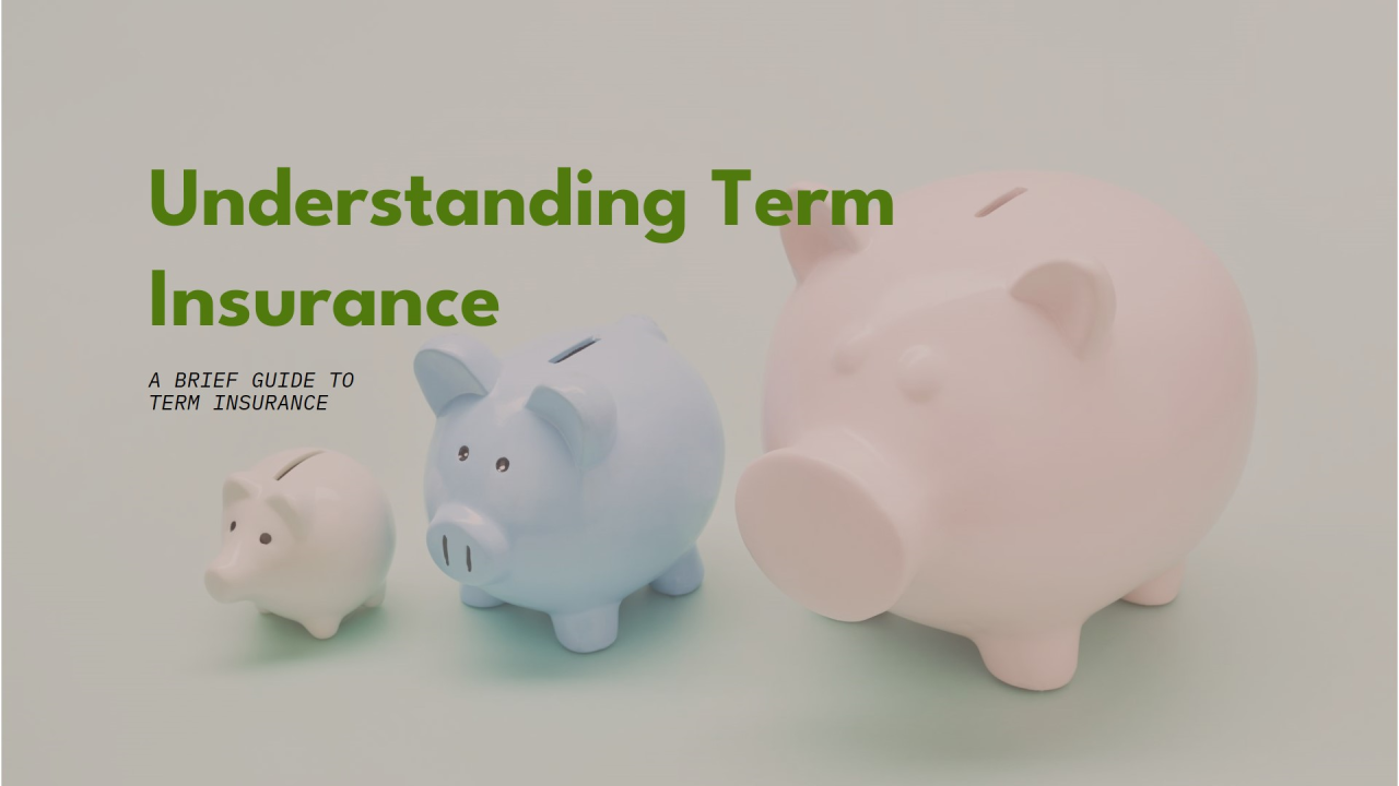 Types of Term Insurance