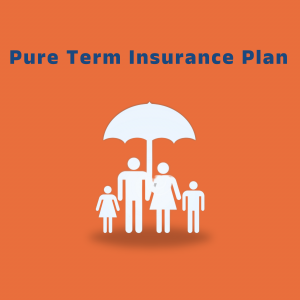 What is Pure Term Insurance Plan